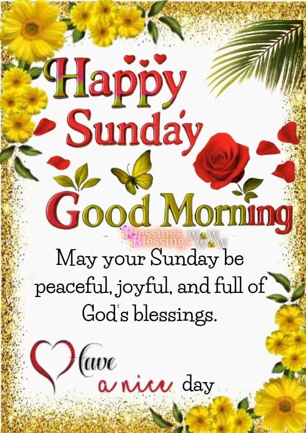 Sunday morning blessings with a text good morning and happy Sunday.